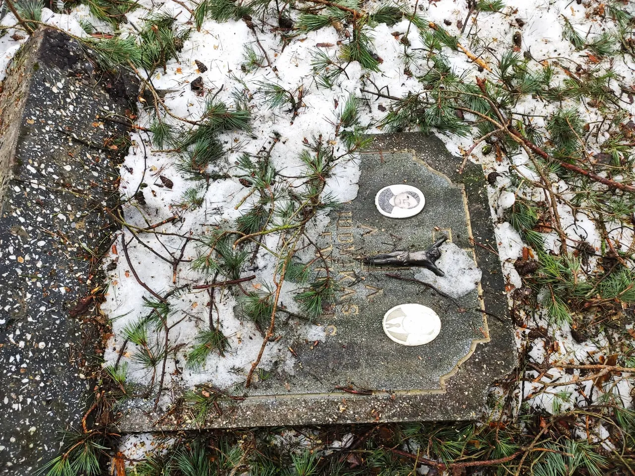 163784587 434475800990847 5700613830898692501 n