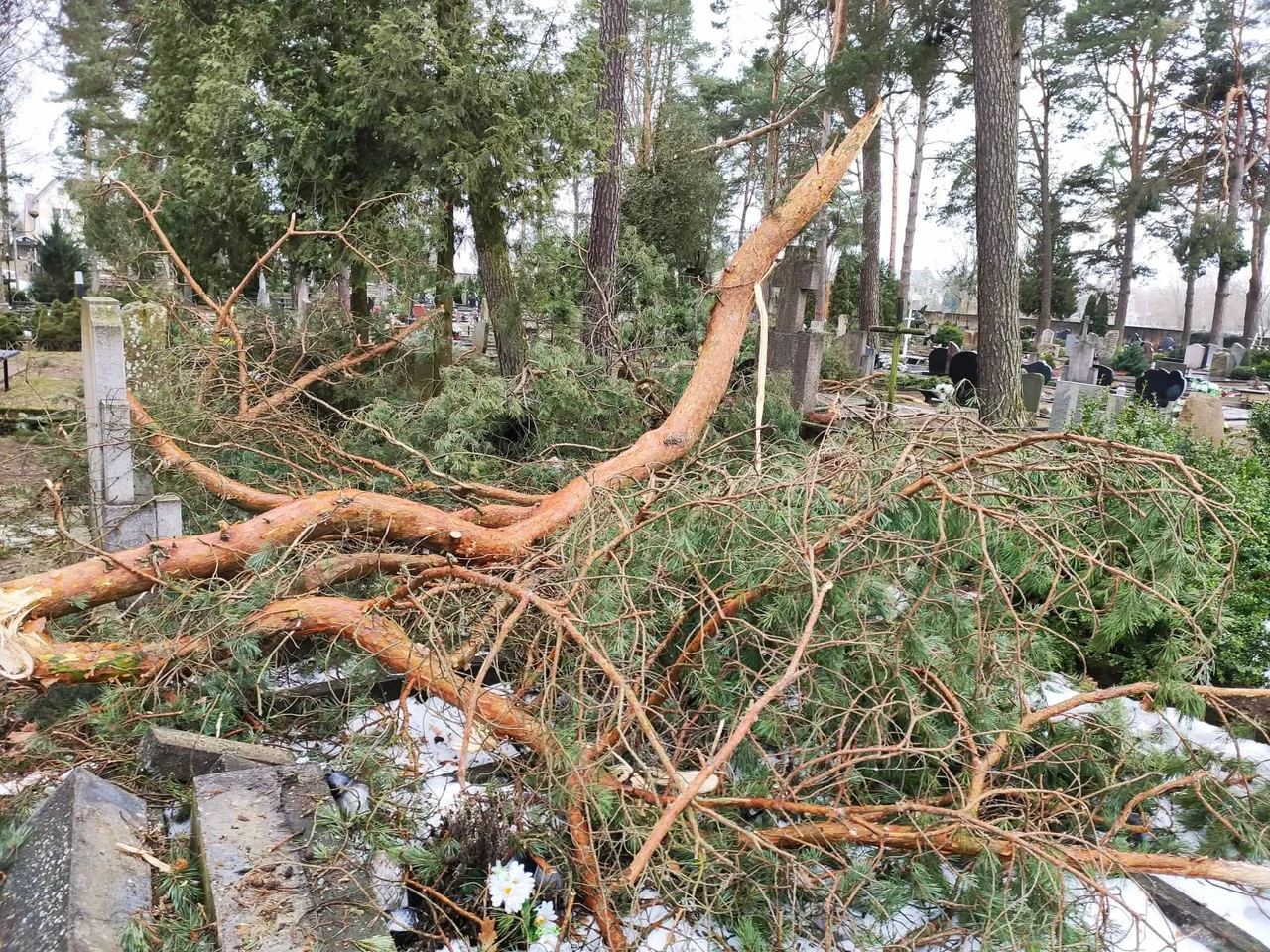 164064892 1060710507749620 209137145845083220 n