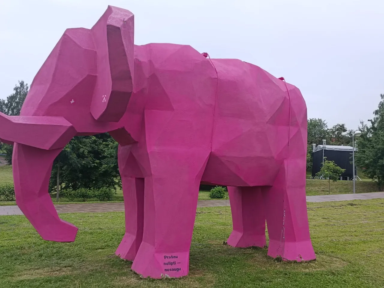 1655397770186 scaled