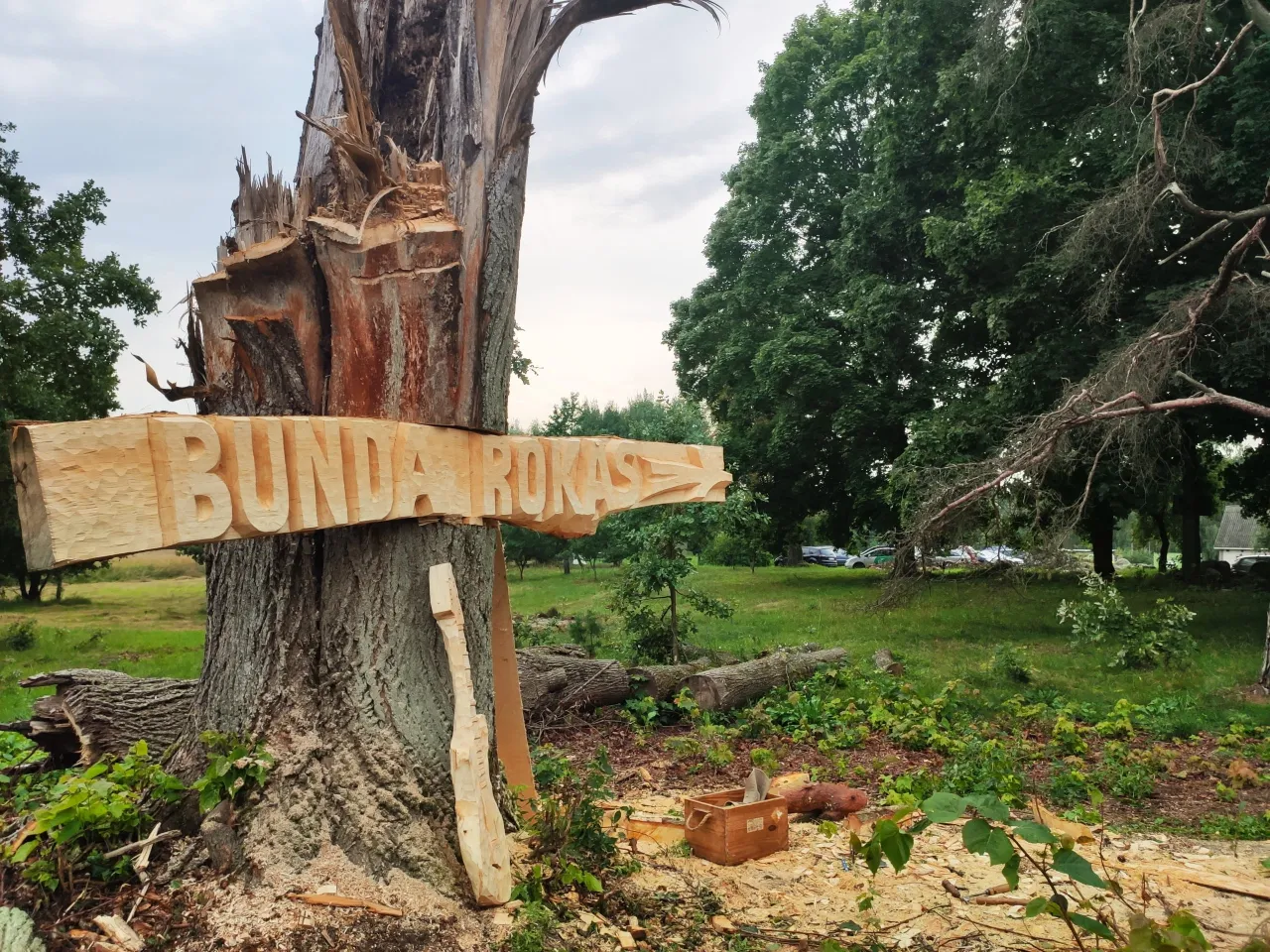 1659542353441 scaled