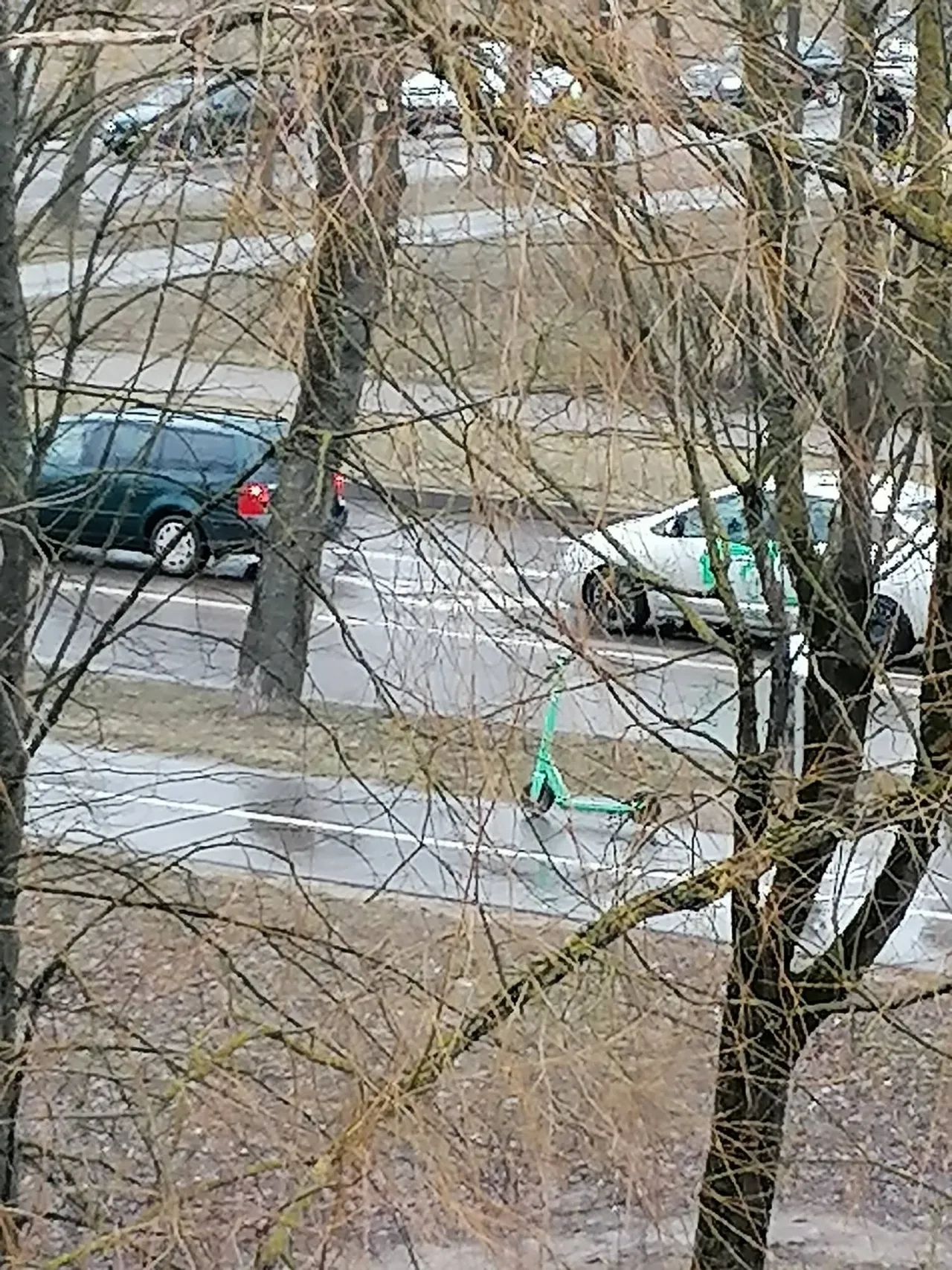 166131693 935008777271063 8314064585281683259 n1 1