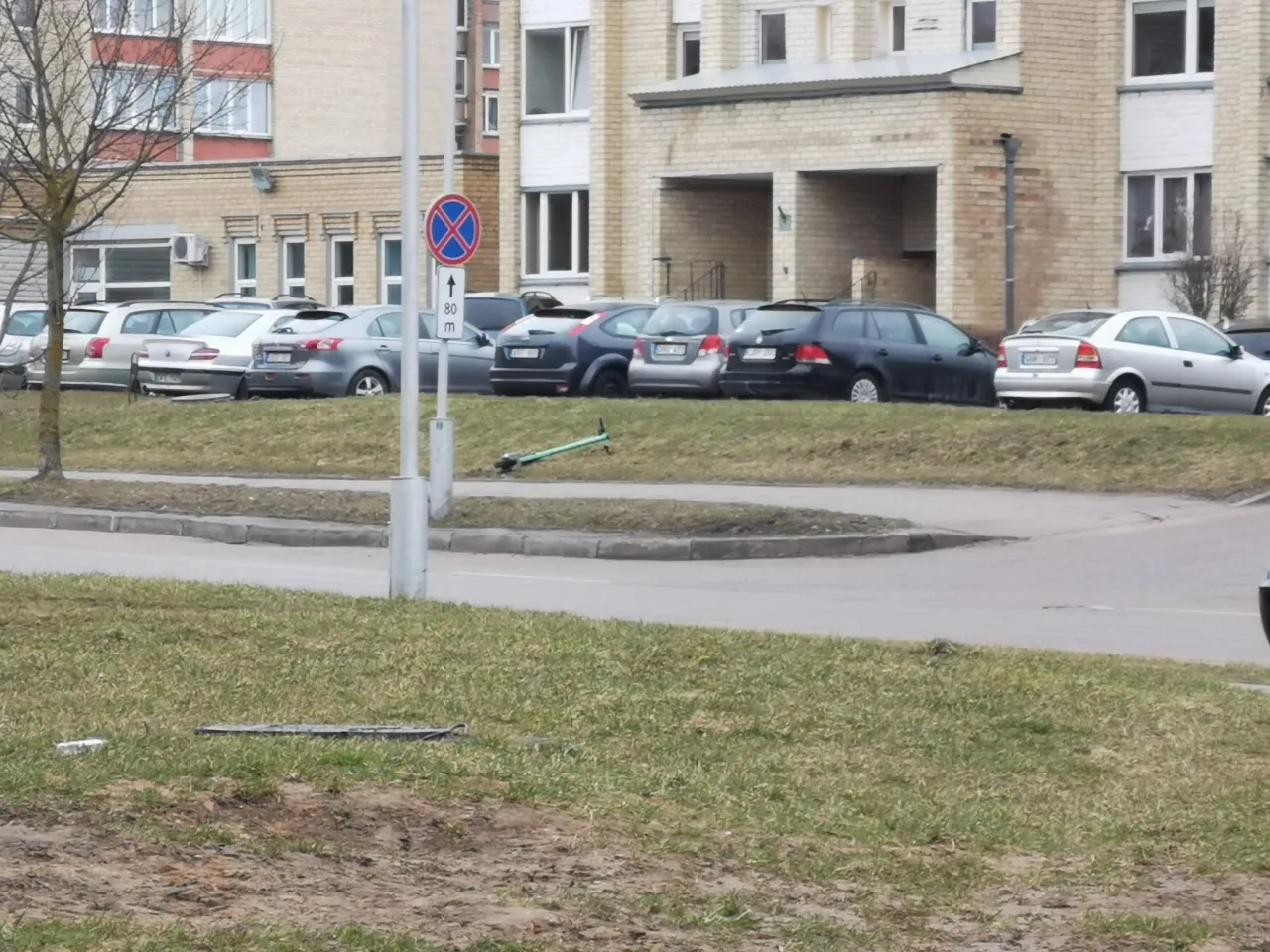 166861061 202370501254648 3028922759354100519 n2 scaled