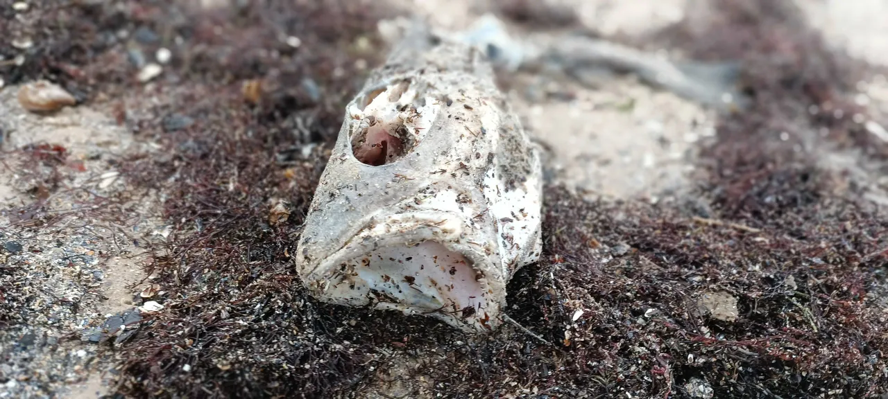 1679343299364 scaled