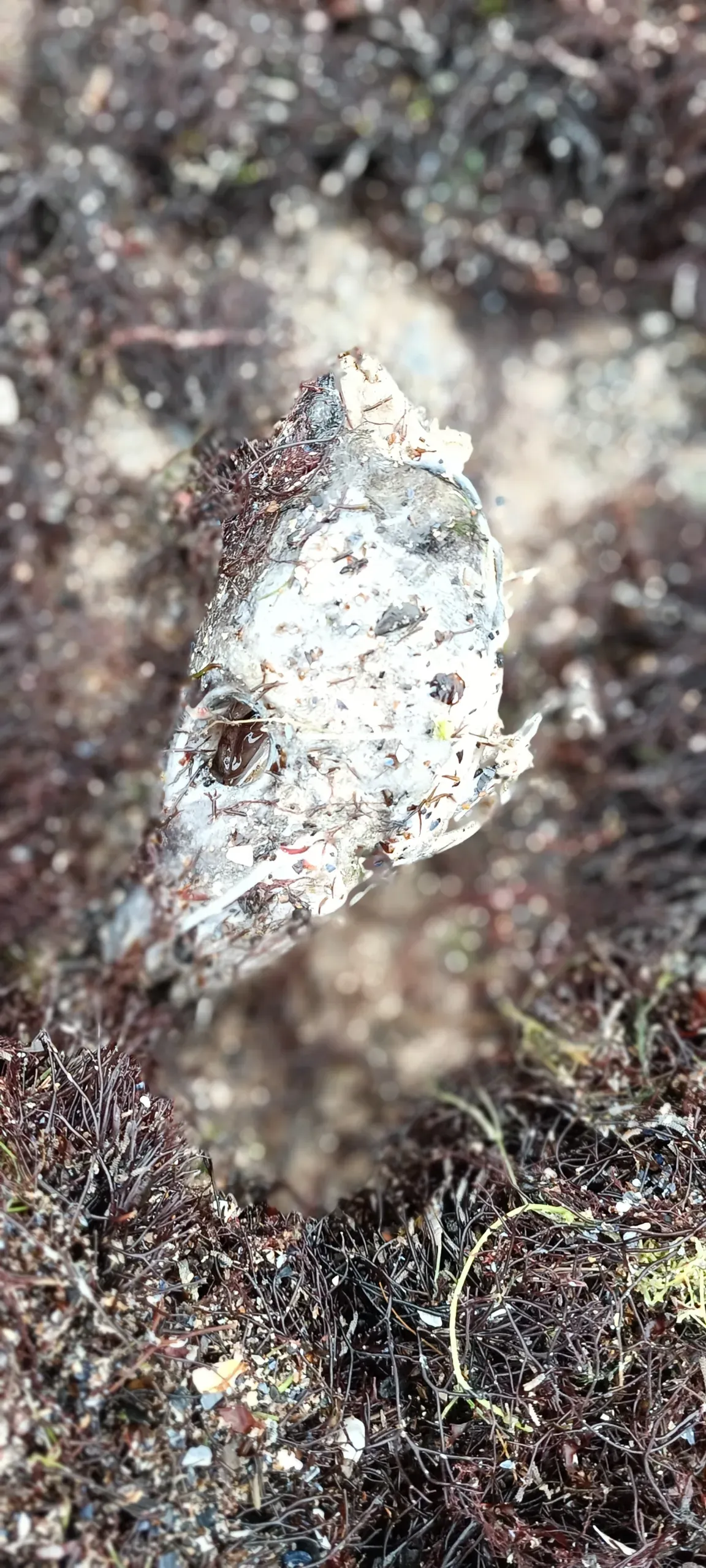 1679343299402 scaled