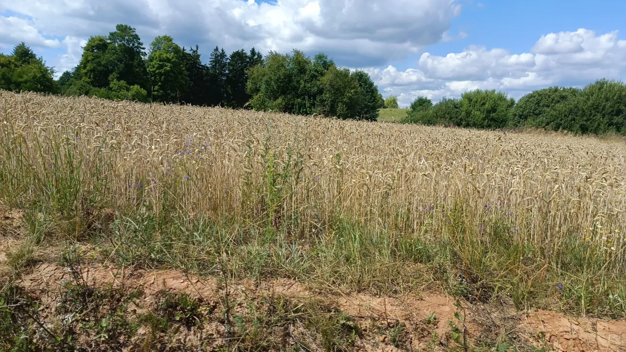 1692636191834 scaled