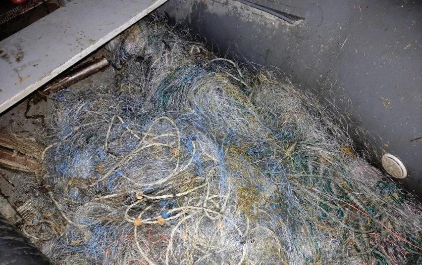 1693 adee41ef858051845021e85140086926