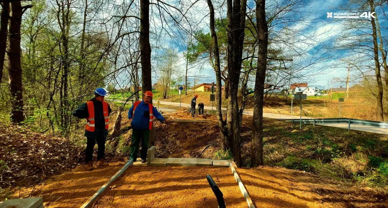 176491046 3897521193630286 4102496431804691753 n scaled