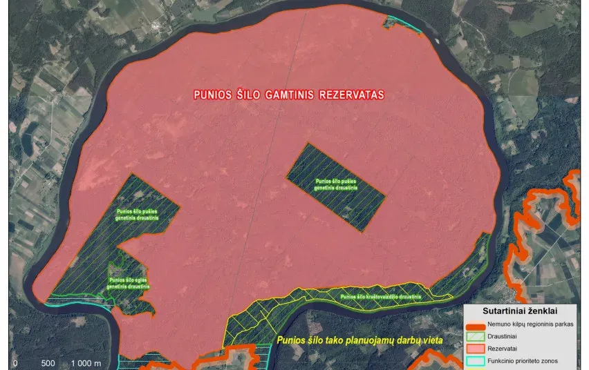 1768 cf035e1069343e92ece7491552fde8a5 jpg