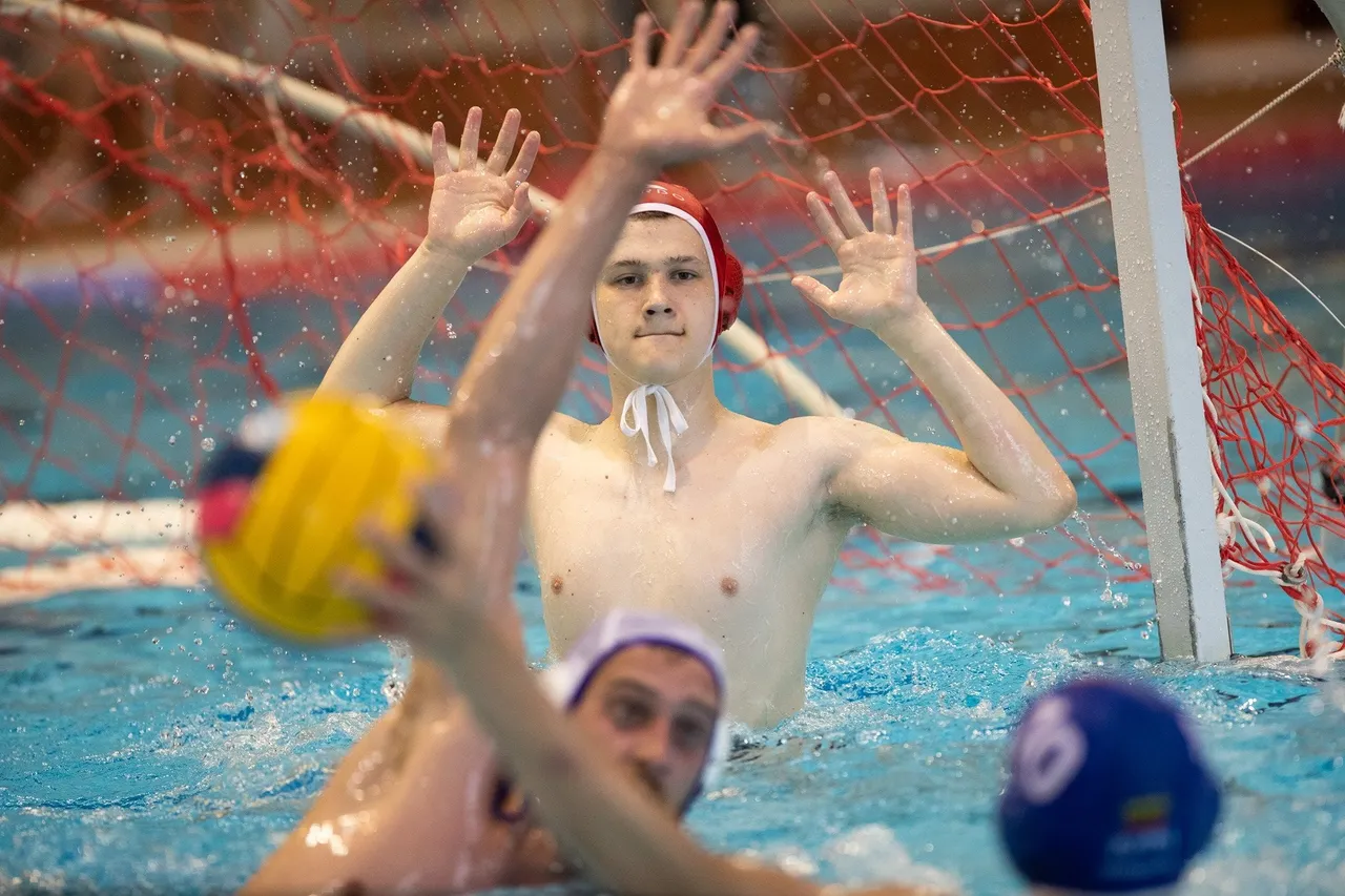 198247102 3513035558799848 163941877288916800 n