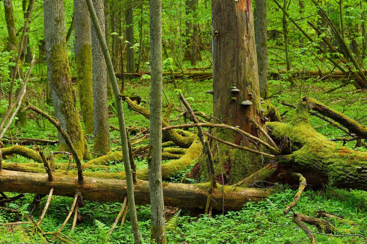 20150513 swd 2015 05 13 233430