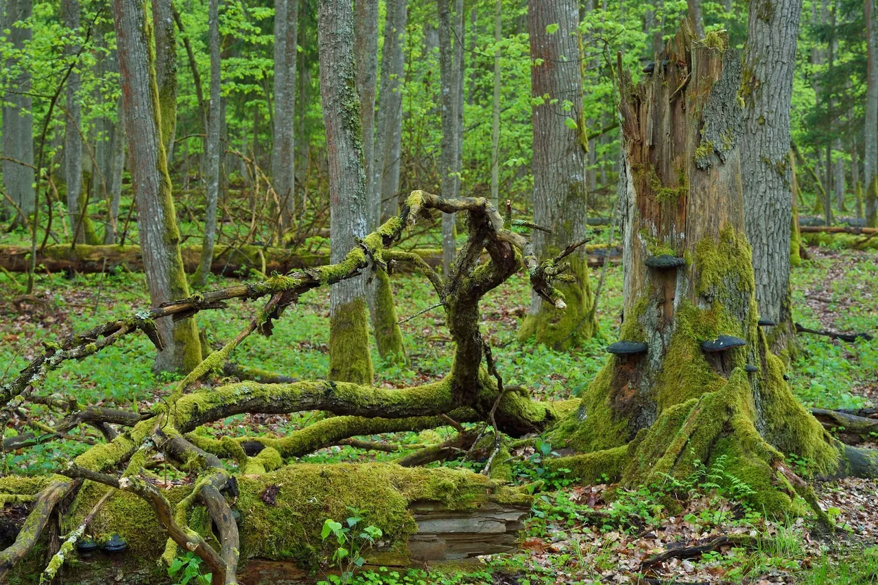 20150514 swd 2015 05 14 014157