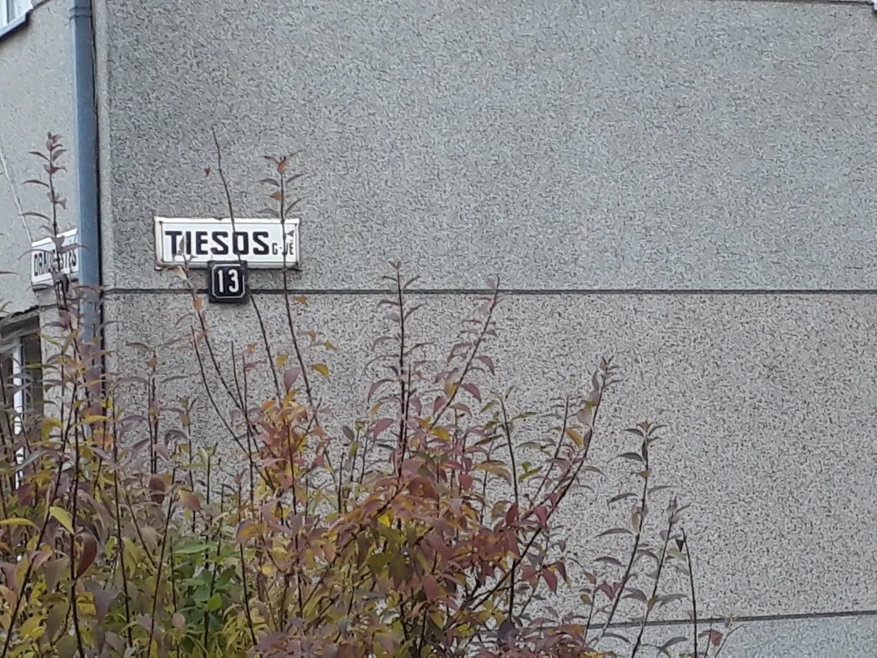 20211020 162117 scaled