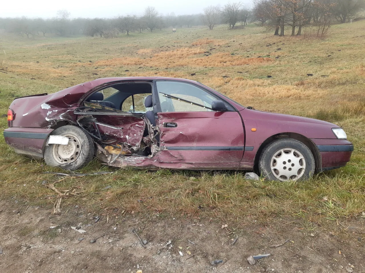 20211111 111320 scaled