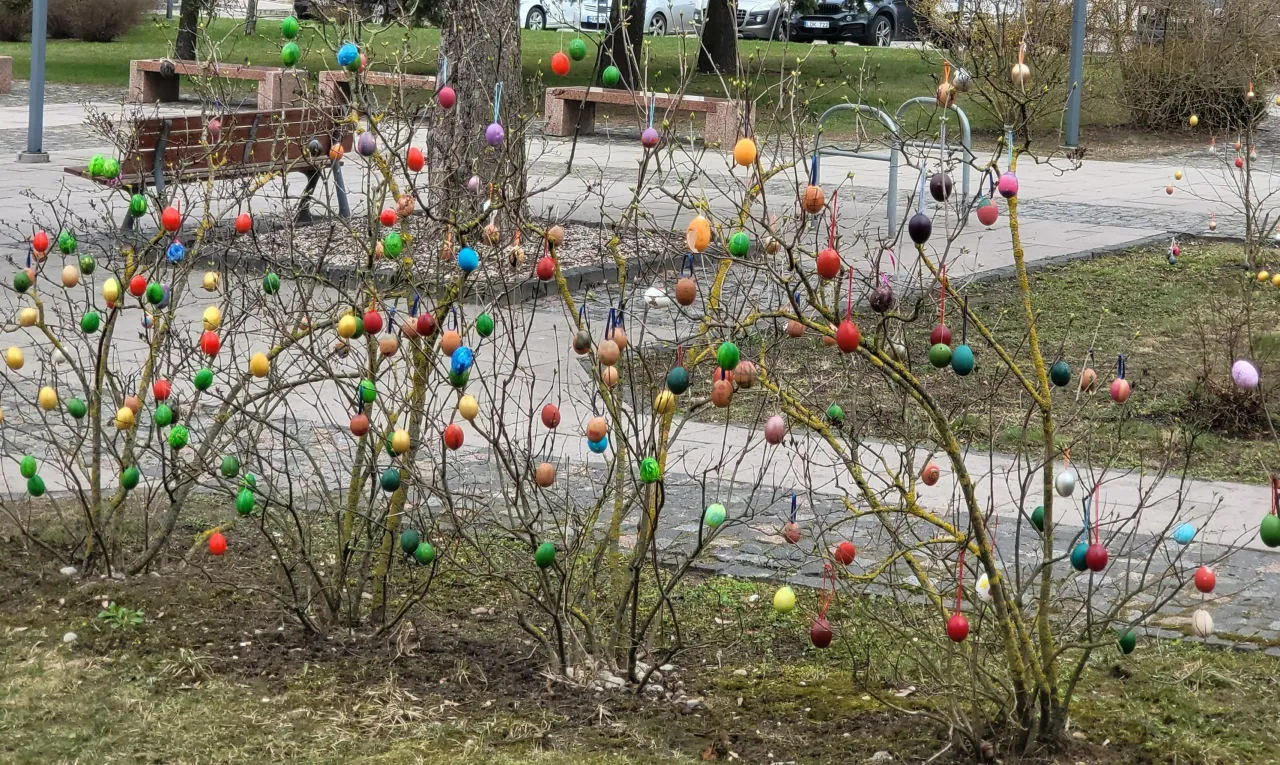 20230404 130441 scaled