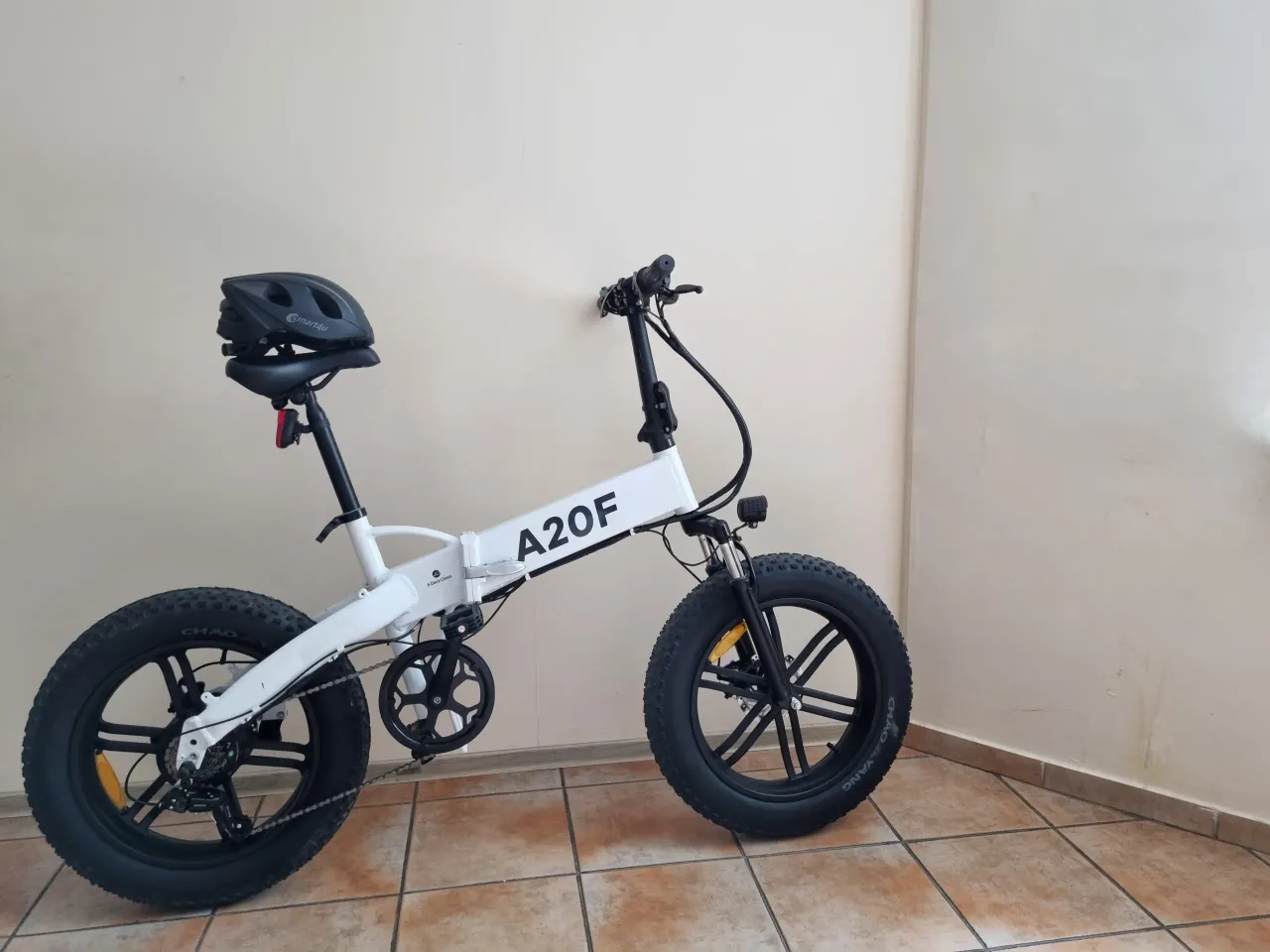 20230623 090755 1 scaled