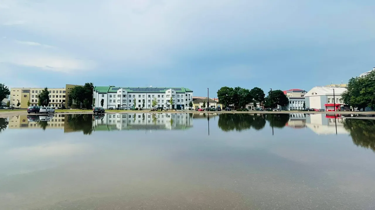 211642362 514988213052162 2991096300911042347 n