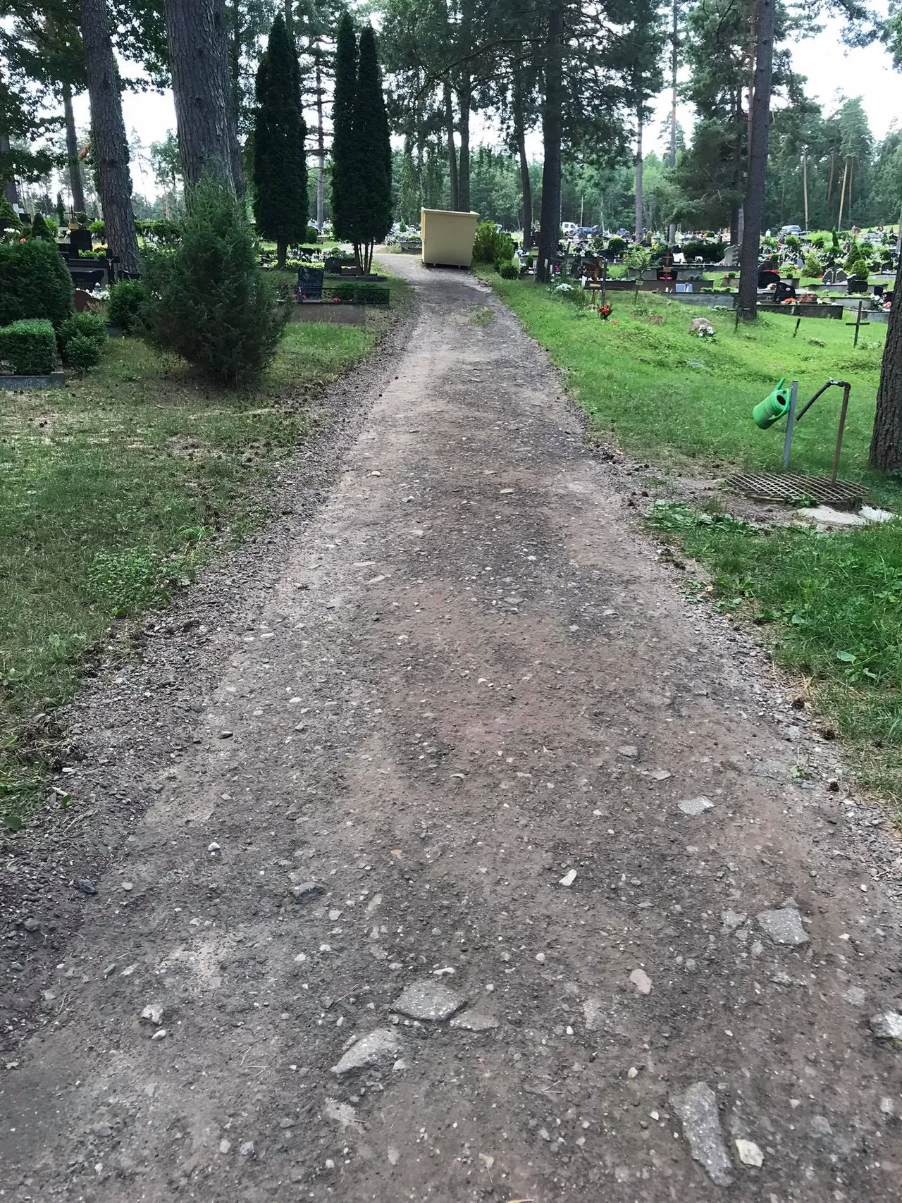 218488251 516397449582423 8318098773972975381 n1