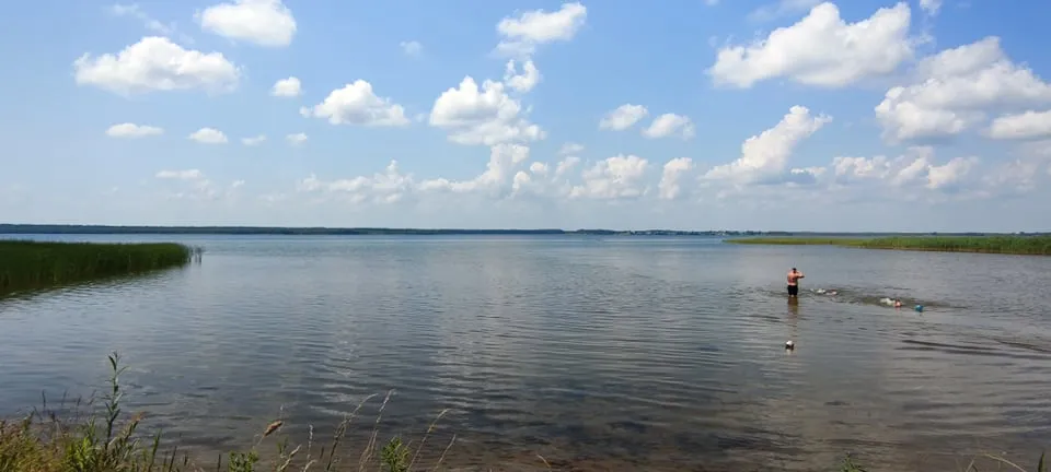 228119436 981527739301749 7904024039861774233 n