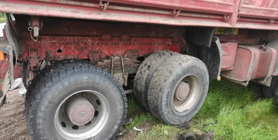 240644909 202081878639841 4270699977642738642 n