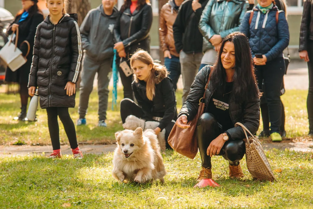 244612365 3023981991215851 8293870627236926531 n