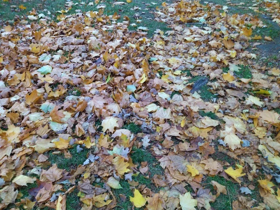 248313167 1039412650180533 6152594682019855520 ns