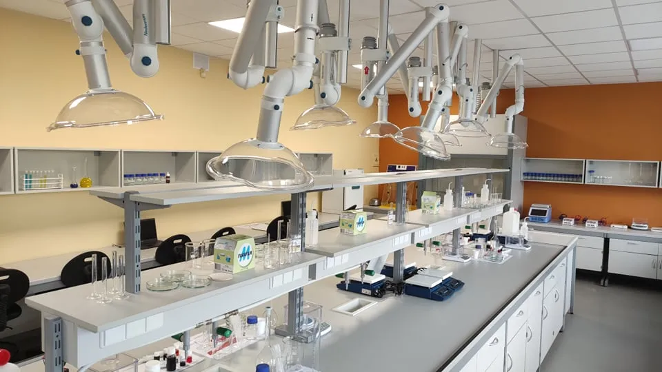 248479864 1569797630026602 8745347218664804847 n