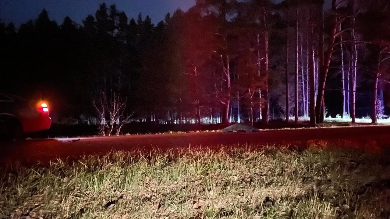 256486058 1725093624360477 556050811137143030 n