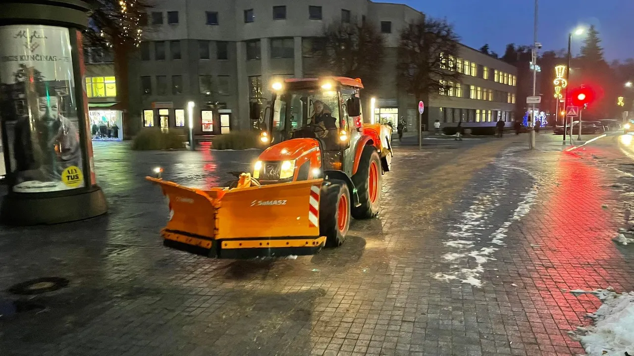 265486837 231507175791264 7205946055385759430 n