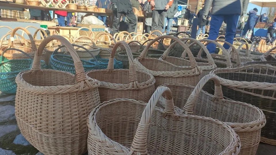 275500308 305264801699461 3215241237728821147 n