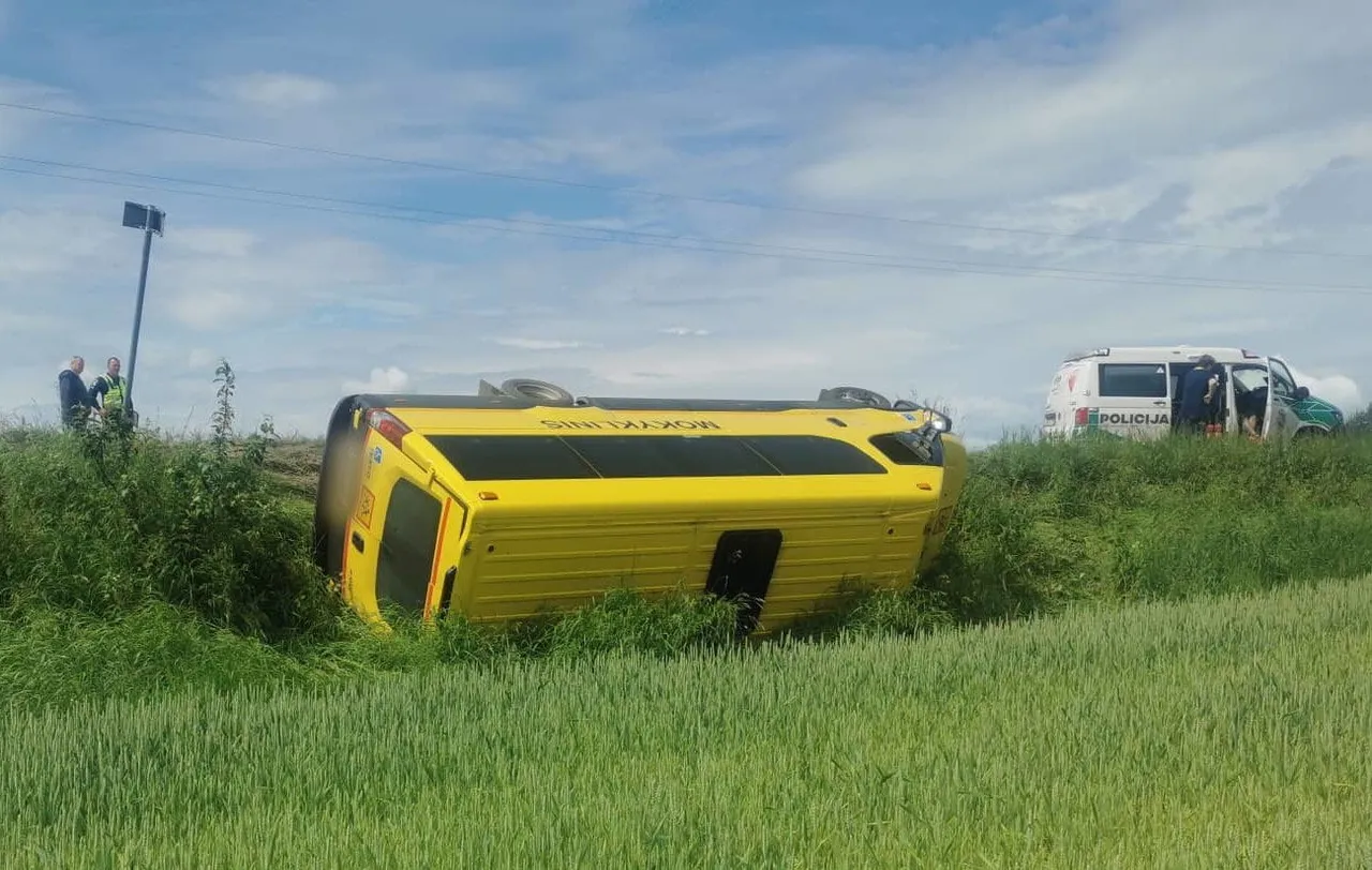 288205464 807218766926533 5116144968608439590 n