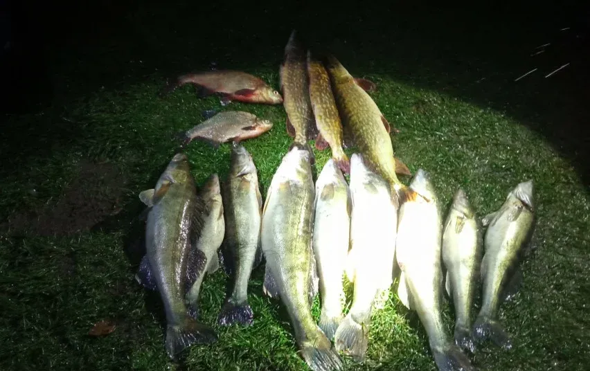 3070 c4e8407cd09ed59e60c2ad9aea941390 jpg