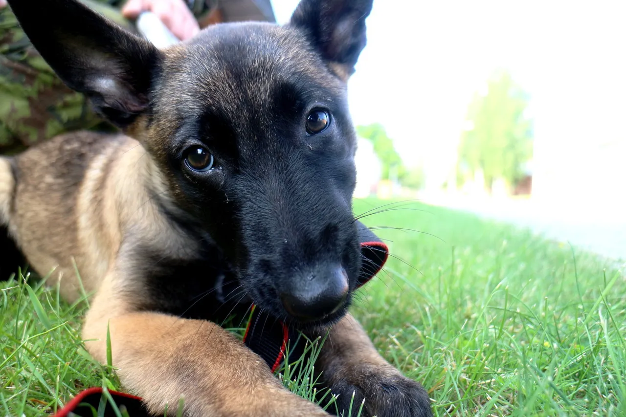 31562221 10155213539501573 7252882900201242624 o