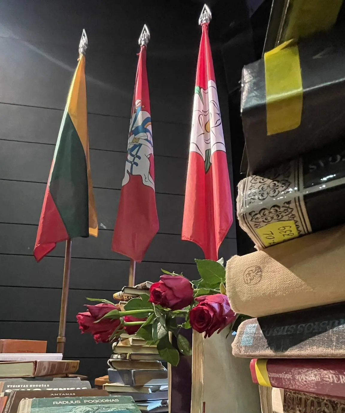 386477938 1753212221818348 661418237022522660 ns