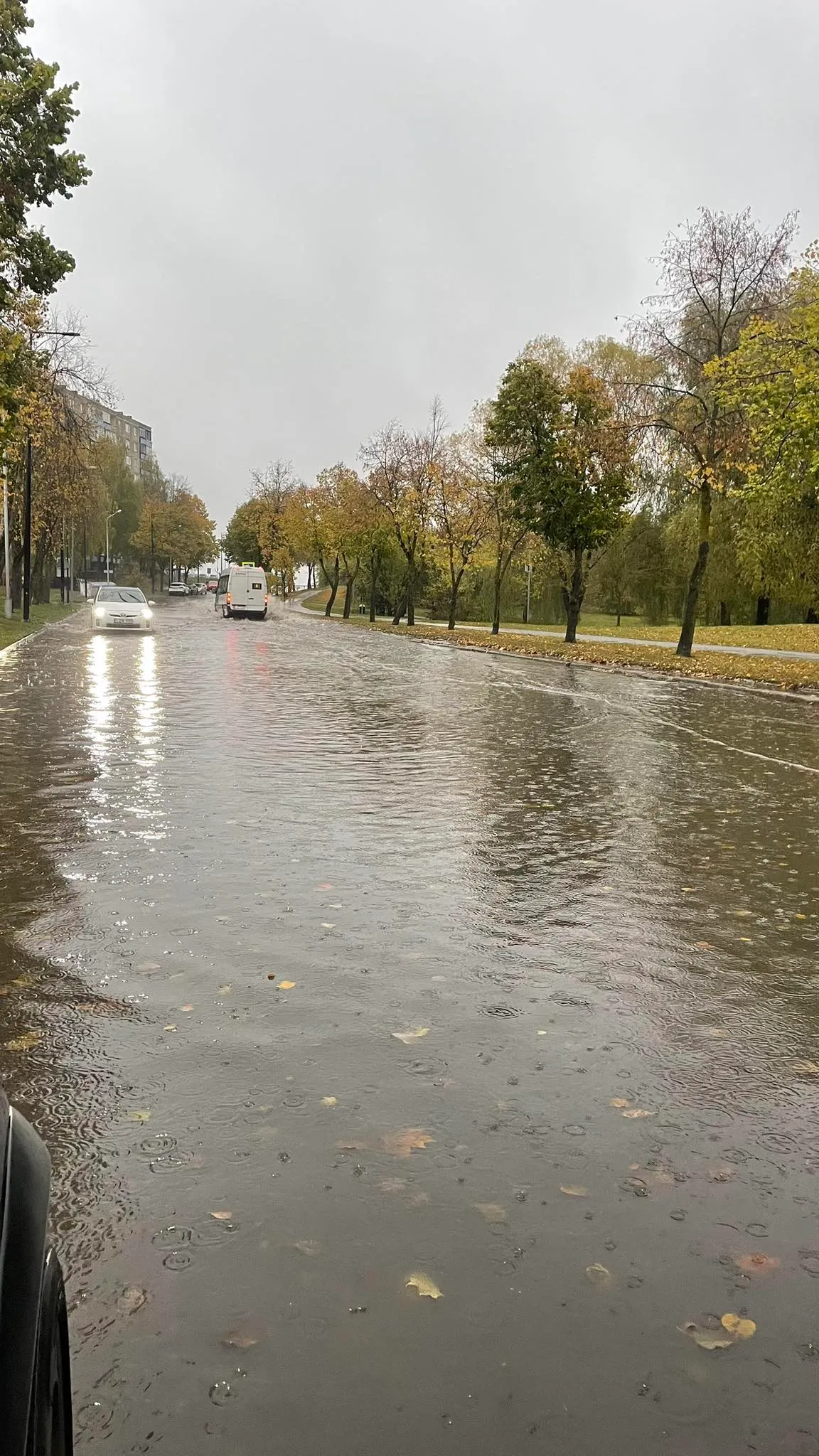 395243387 861452158614562 955524897111643246 n