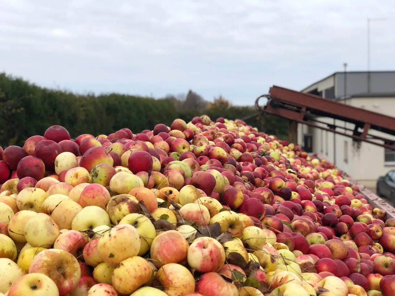 44743005 1100942683413922 8638969258660855808 o