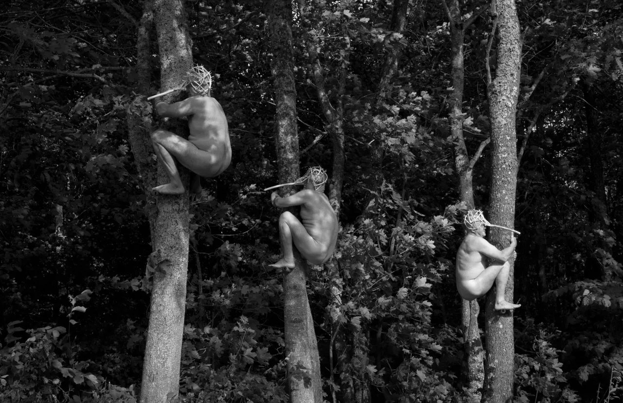 a griskeviciaus kuryba2 scaled