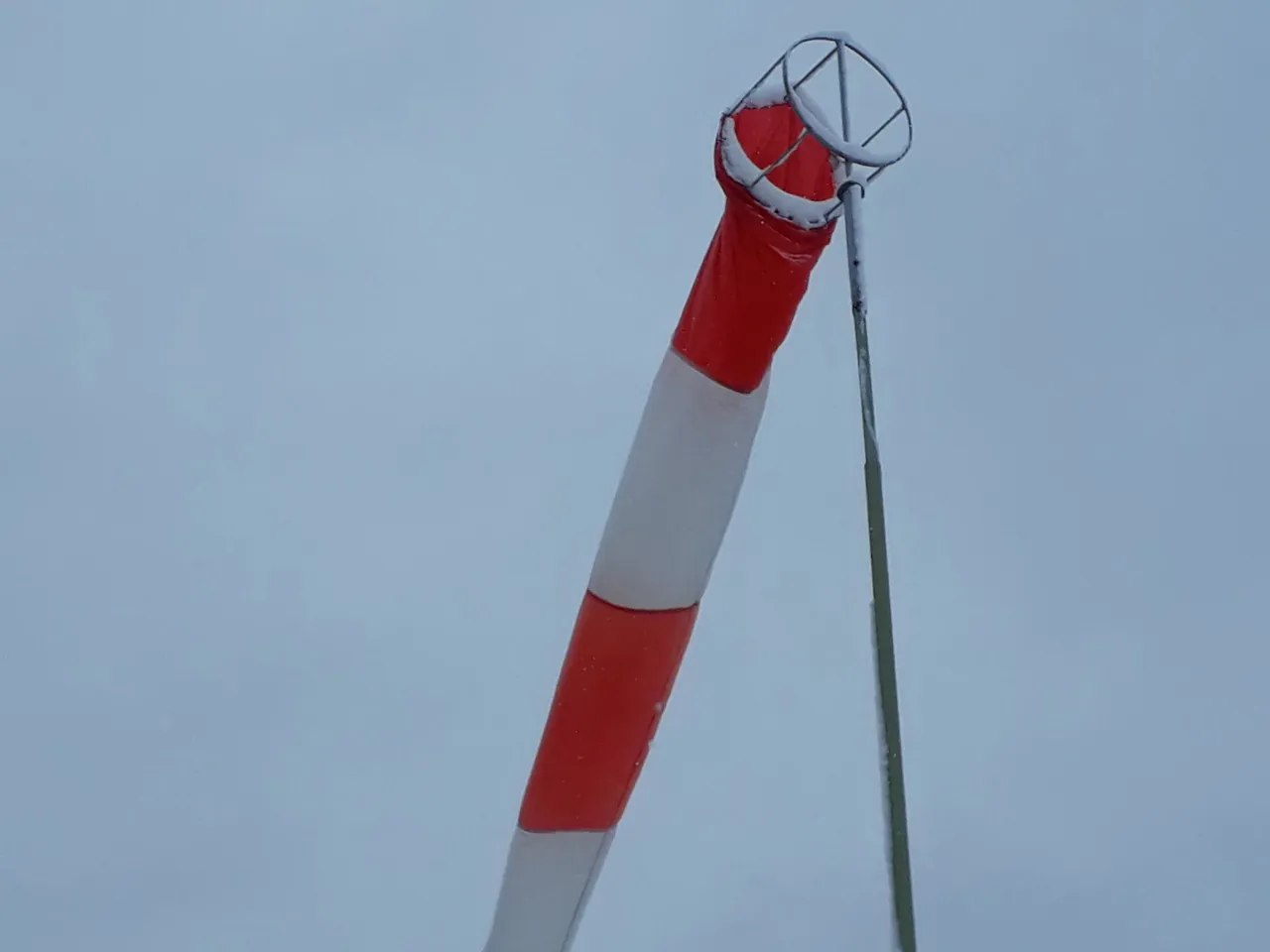 aer20210106 135343 resized