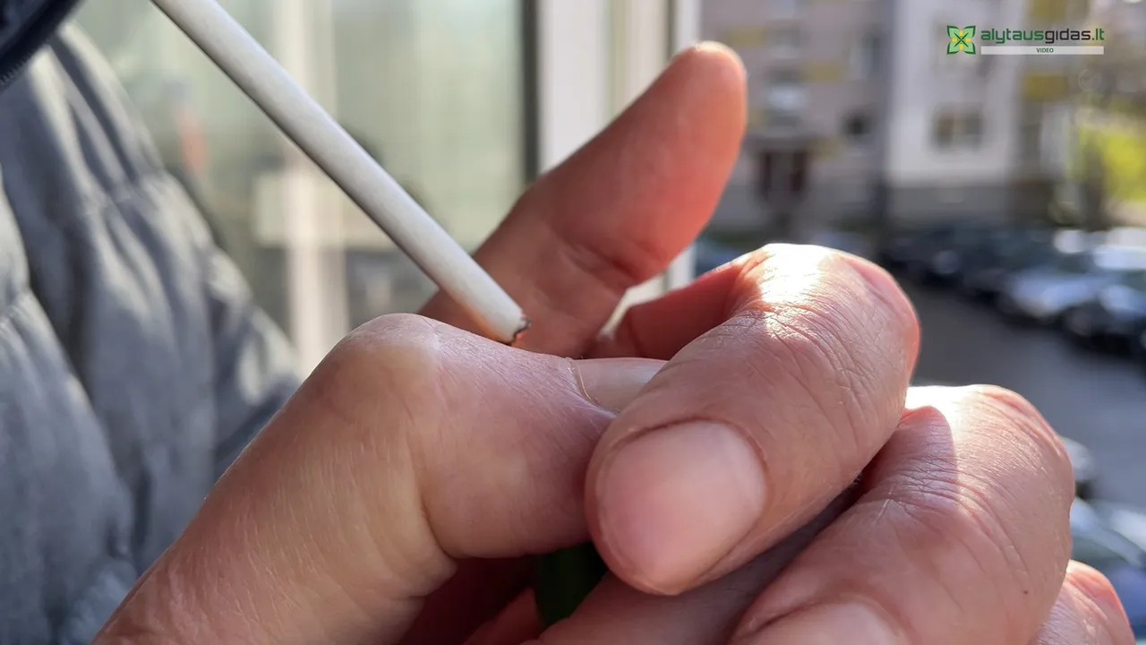 alytaus gidas intro00 00 08 05still005