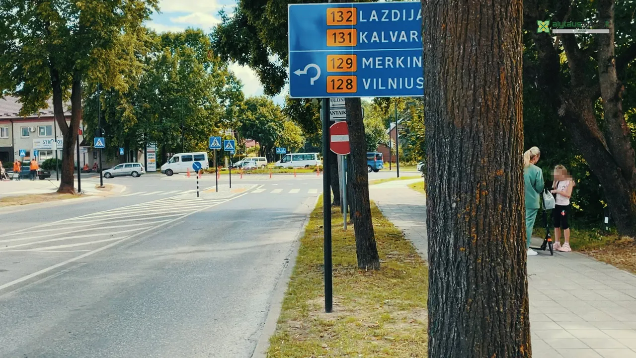 alytaus gidas intro00 00 35 05still092