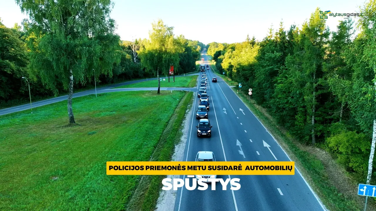 alytaus gidas intro00 00 48 24still169