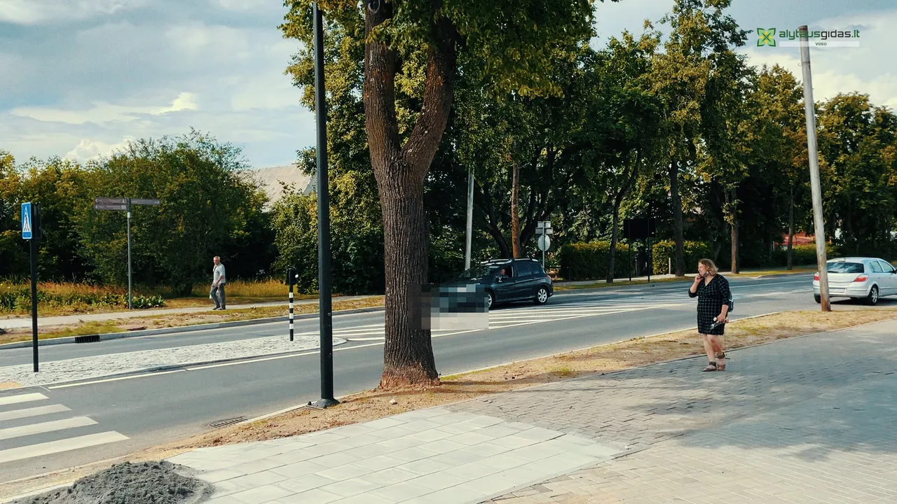 alytaus gidas intro00 00 59 47still094