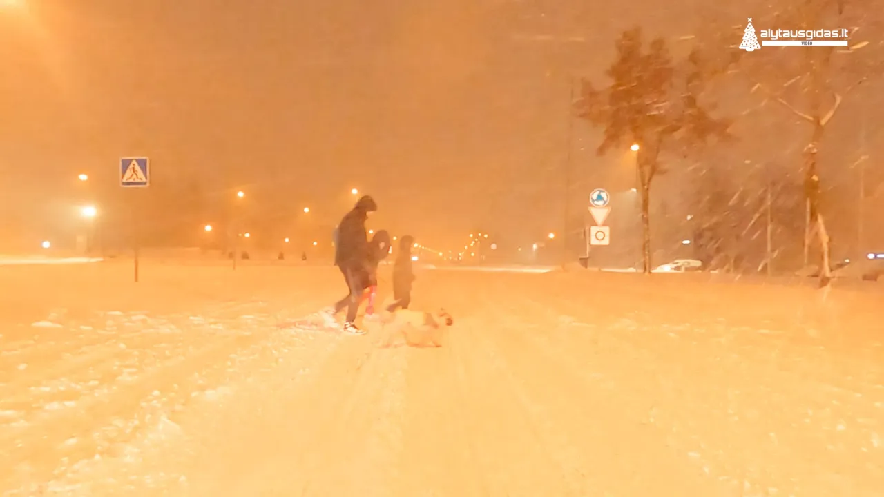 alytaus gidas ziema00 00 23 26still004 jpg