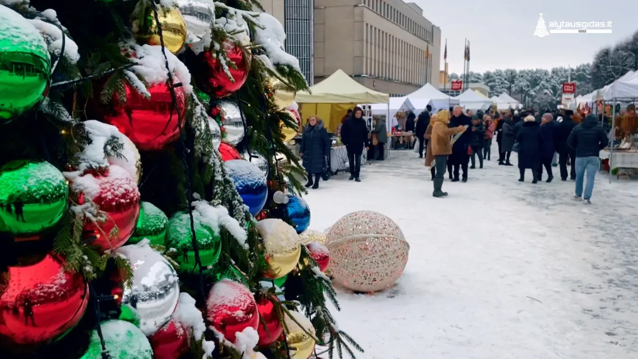 alytaus gidas ziema00 01 37 39still011 jpg