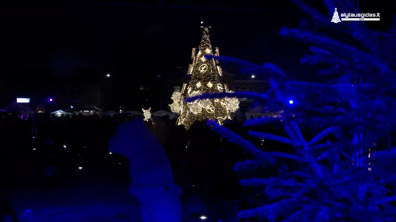 alytaus gidas ziema00 28 14 03still002 jpg