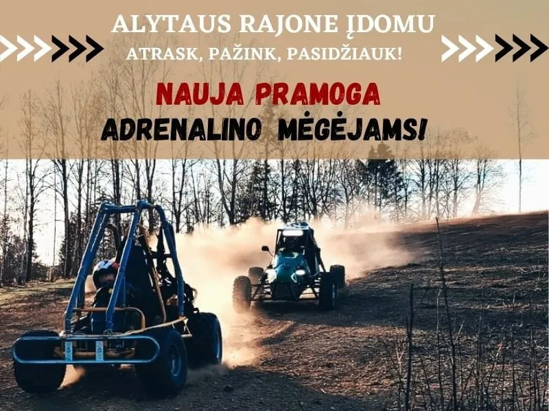alytaus rajone idomu 1
