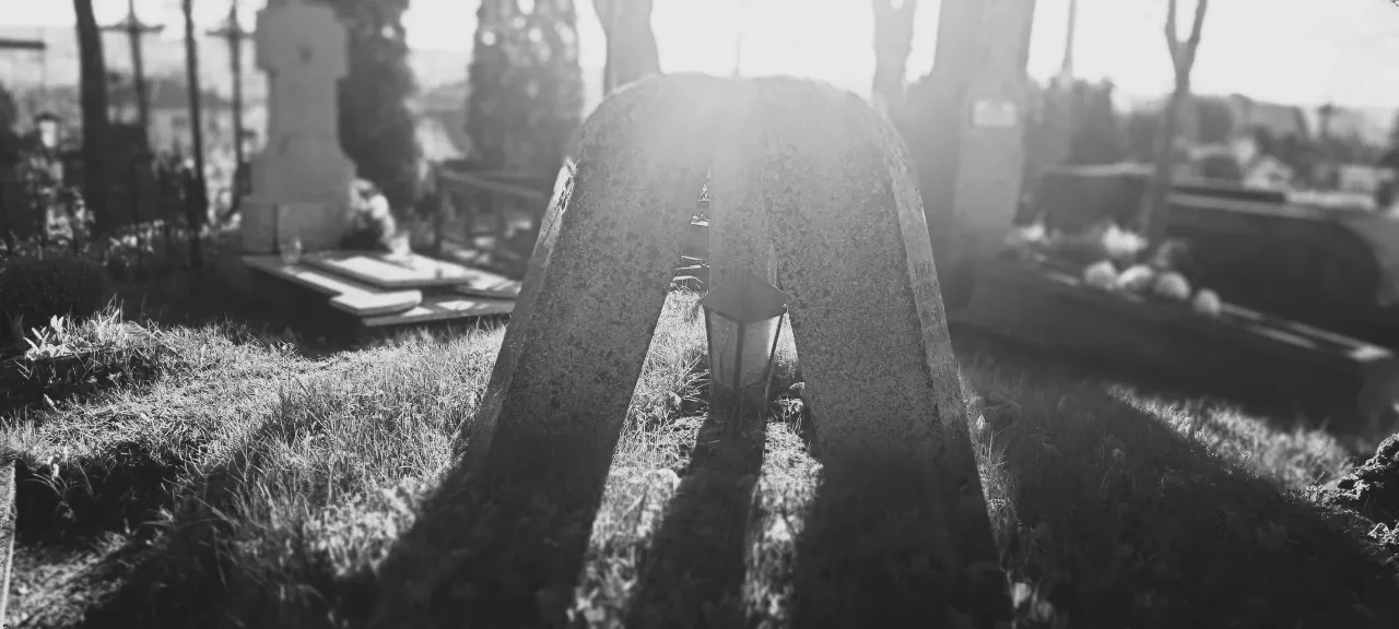 angeimg 20230504 074217 scaled