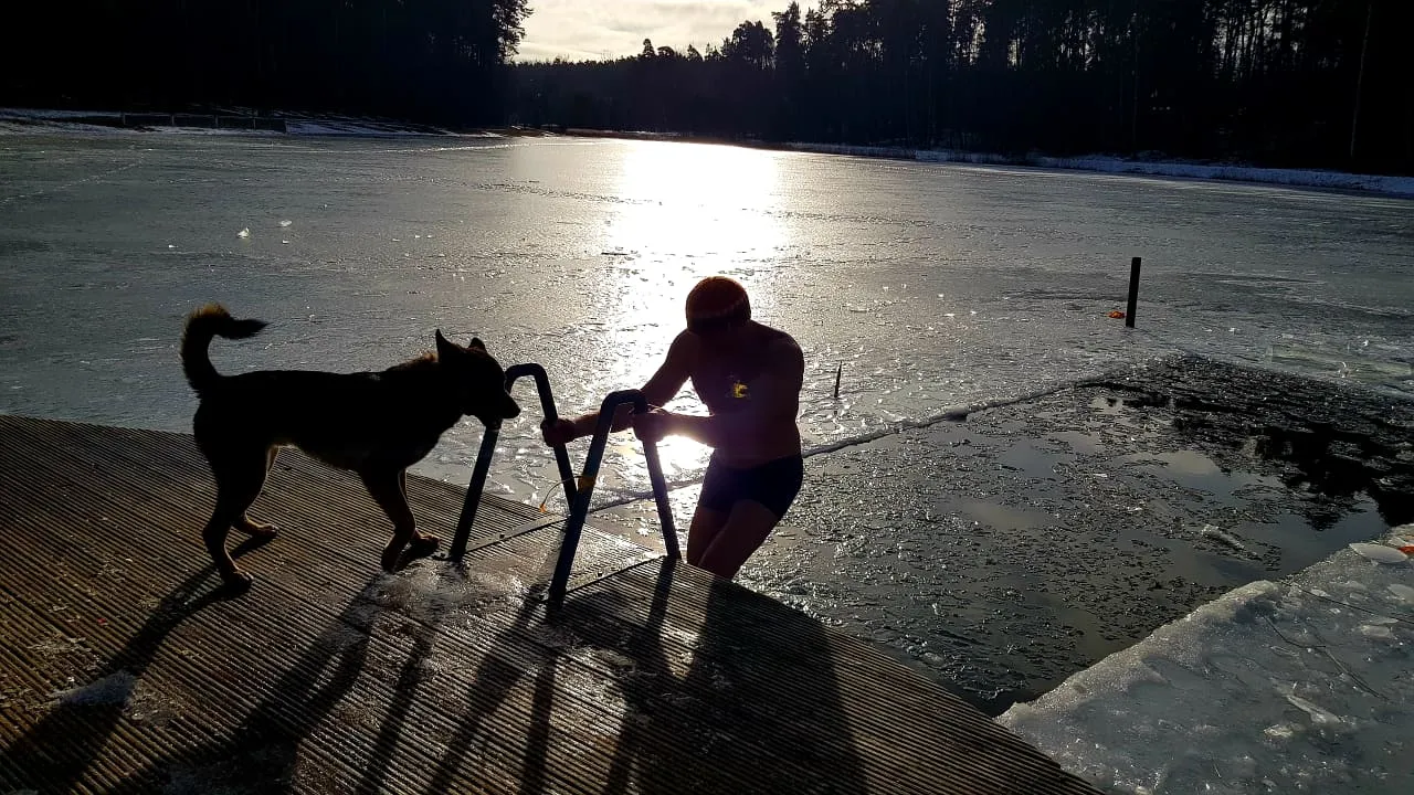 ankstyvas rytas dailides ezerelyje