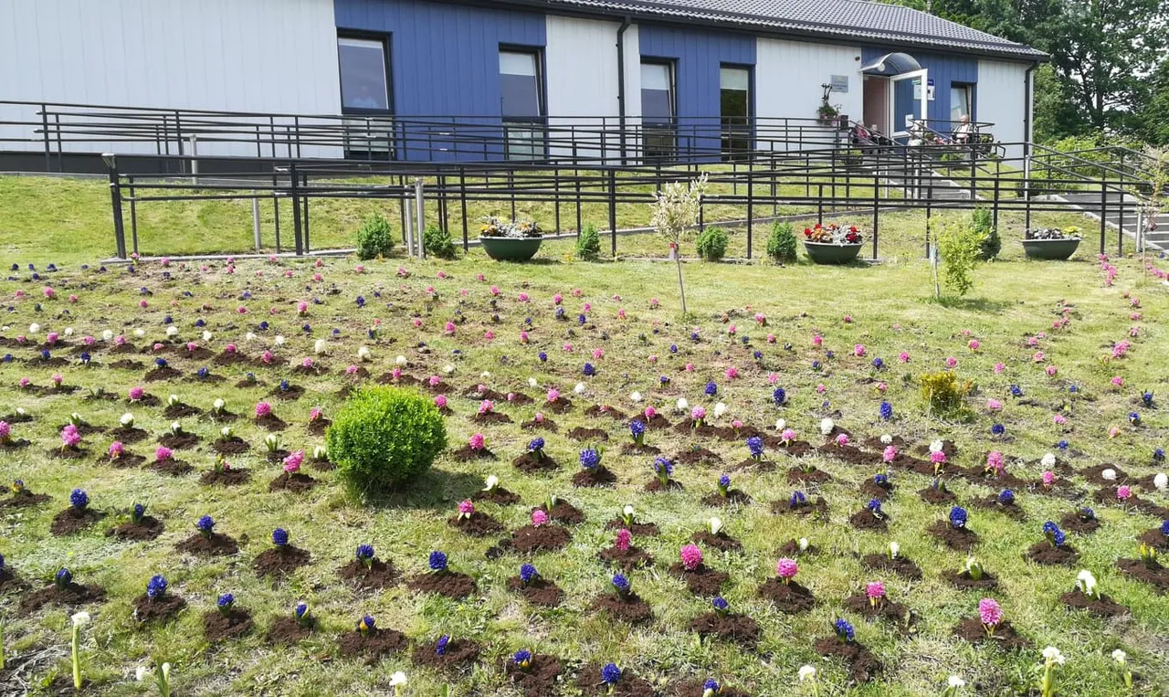 aplinkosauginems priemonems skirta daugiau lesu