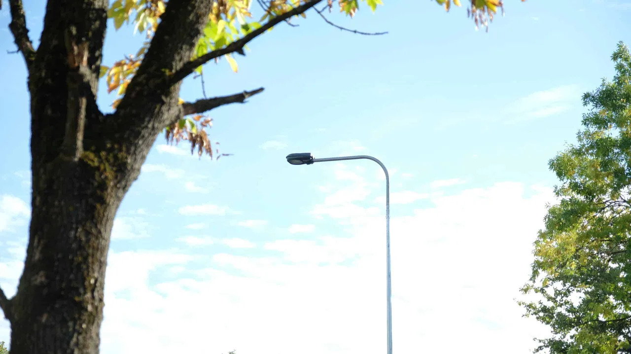 apsvietimas ams nuotr scaled