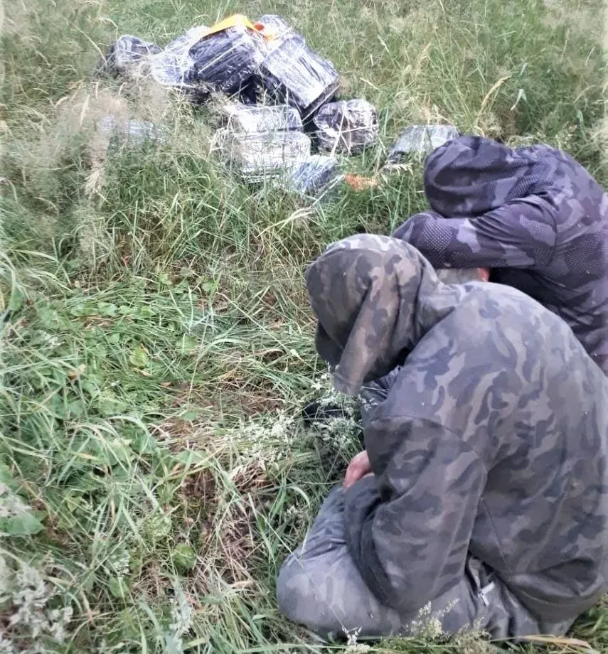 armerk20230705 cig kabel 2 s jpg